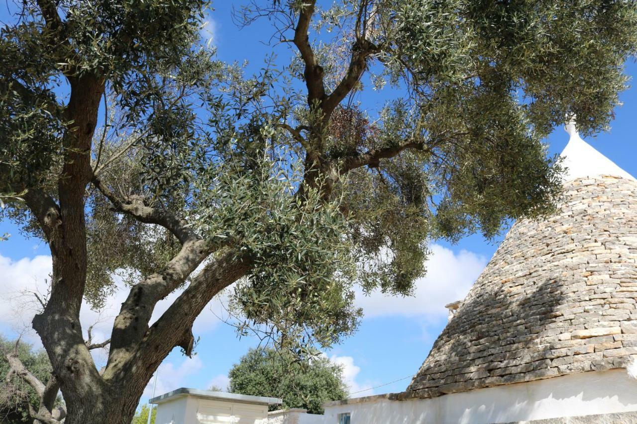 Trulli Alla Controra Conversano Ngoại thất bức ảnh